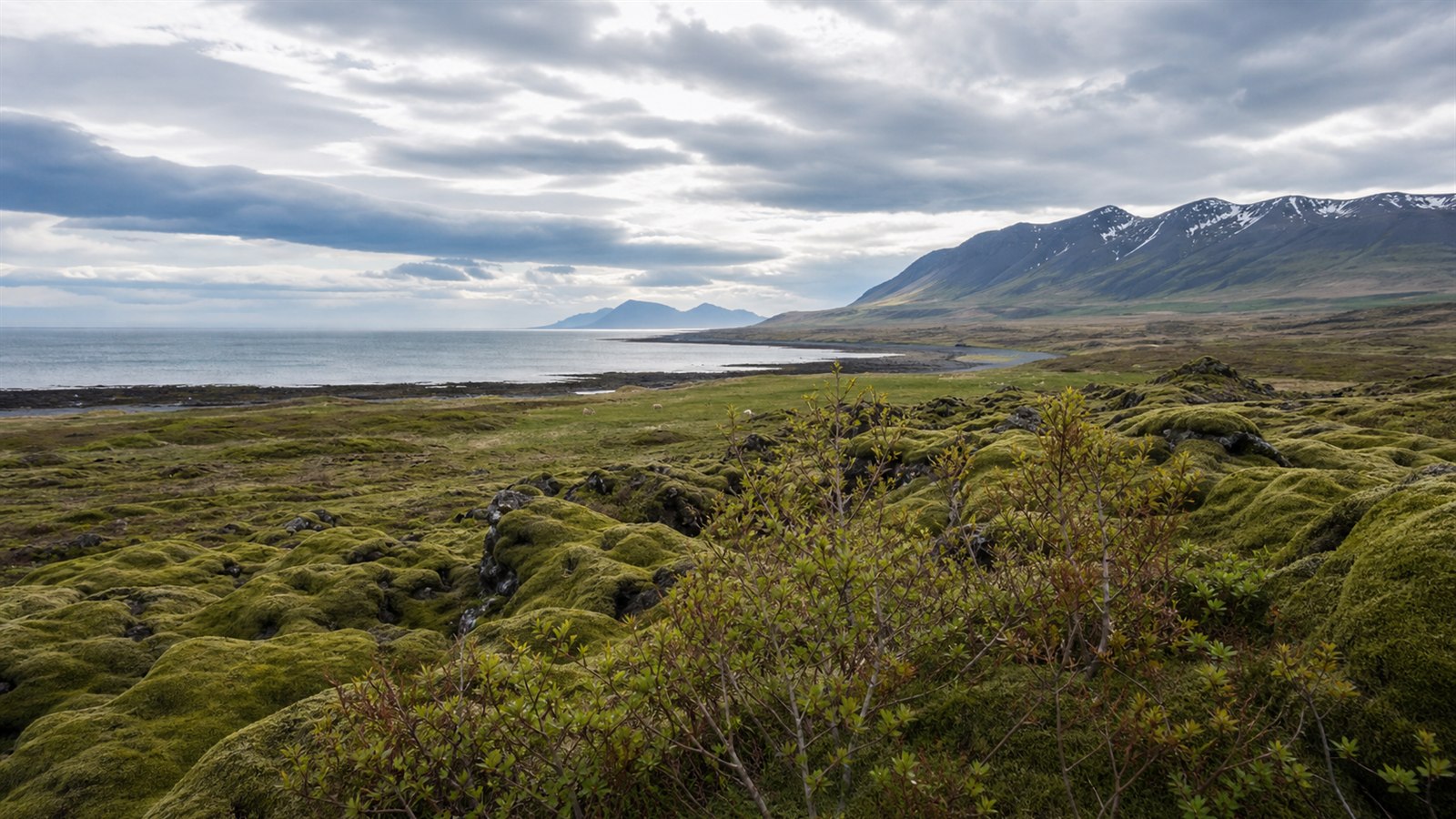 Island mit moosbedeckter Lava, Küste, Bergen und wechselhaftem Wetter